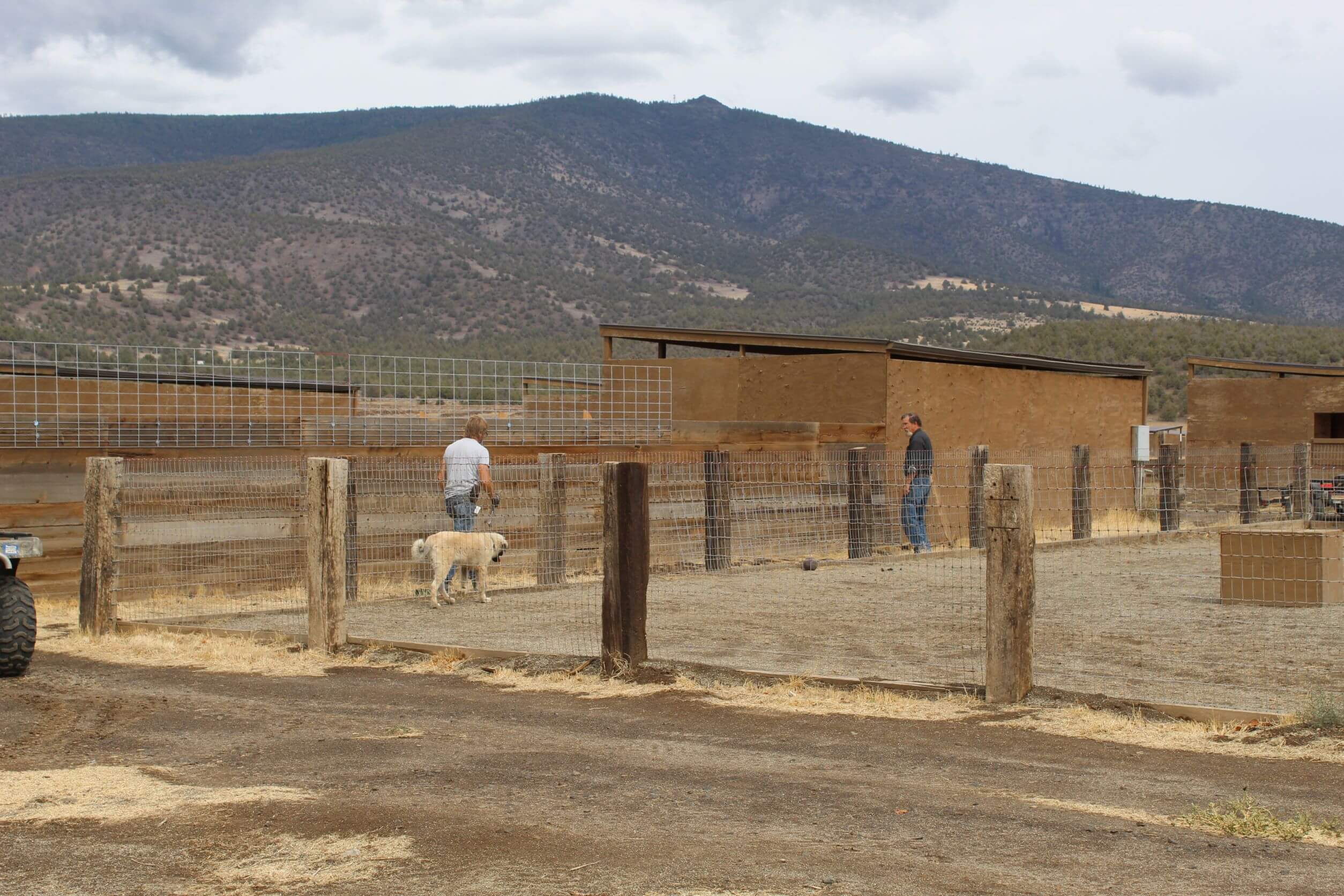 Rescue Ranch Sanctuary_Marc and John adding height to fence_Marc and John adding height to fence