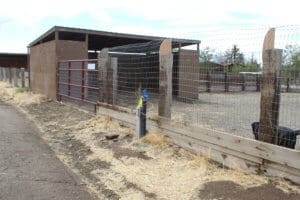 Rescue Ranch Sanctuary water point