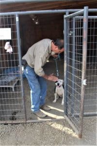 Pocket pittie, John taking Ramona out of Sanctuary Kennel 2