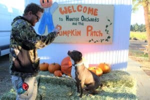 Rescue Ranch Pit Bulls, Ari telling Capone to sit