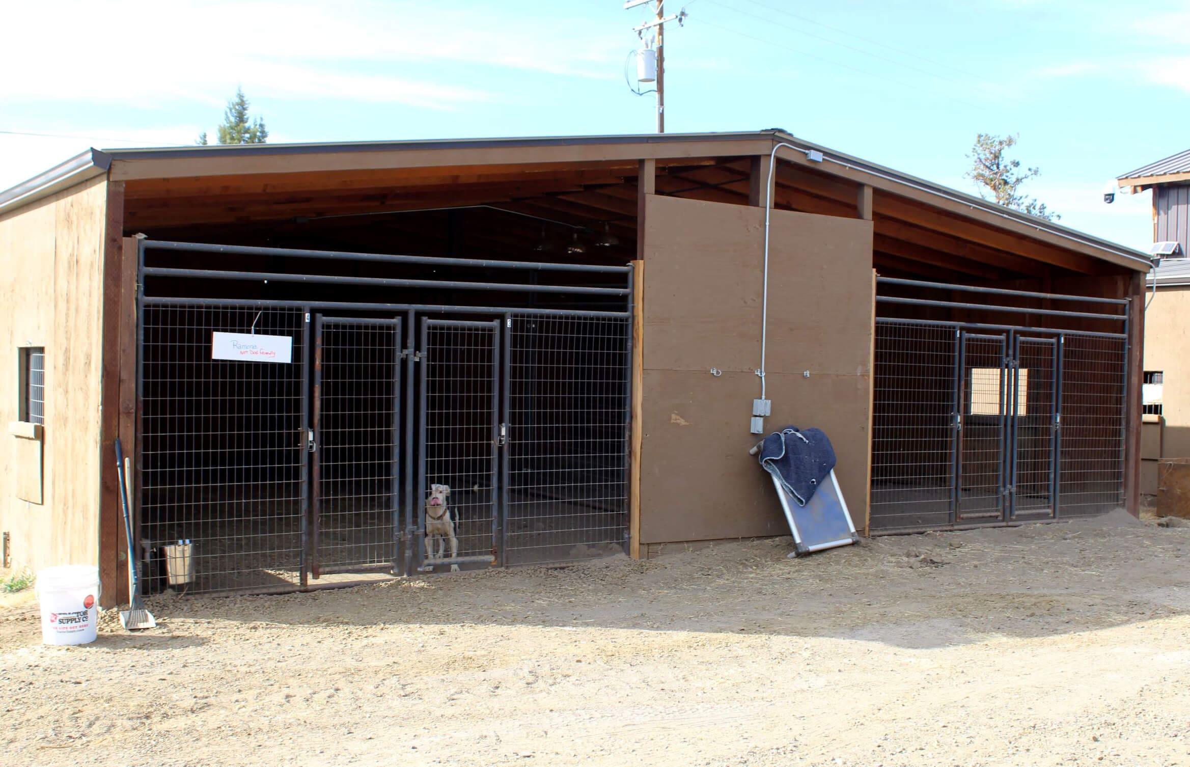 Ramona in her Sanctuary enclosure Rescue Ranch Inc.