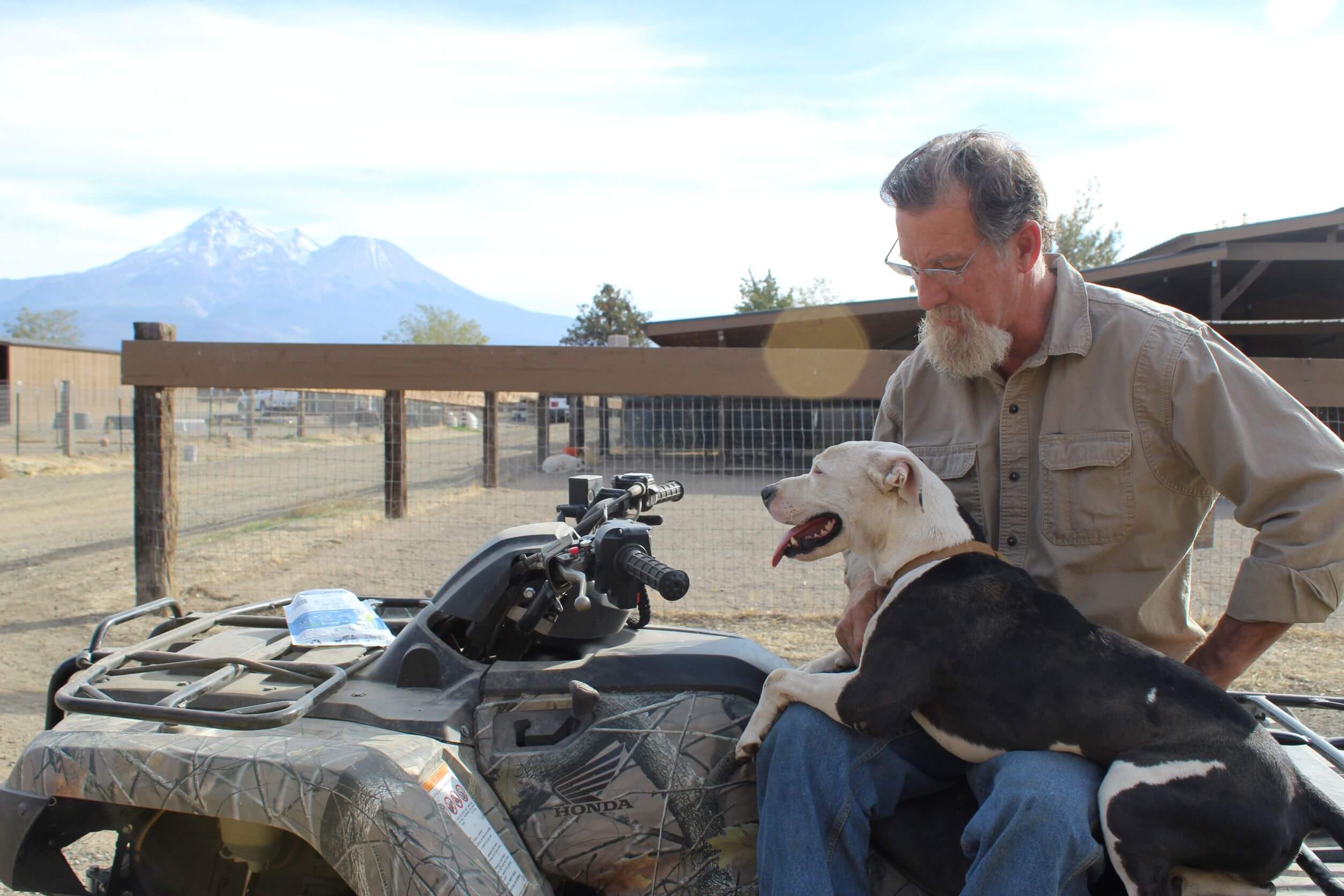 Rescue Ranch Pocket Pittie Has Been Waiting Nearly 2 Years For Her Person
