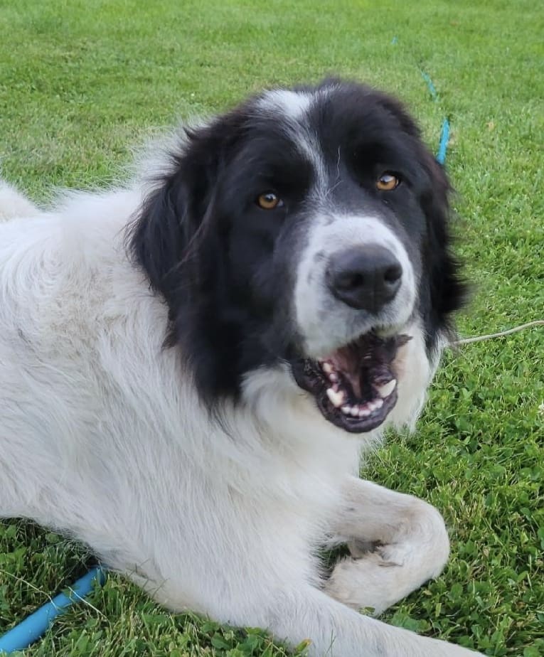 AB3085A2-8A7D-4FC4-B0B6-54B62E79FEA1