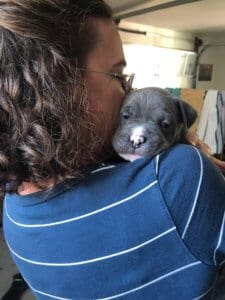 Fire dog puppies_Cannon 4 wks