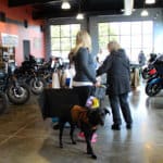 D & S Harley Davidson Pet Day, Int with Jackson the dog
