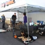 D & S Harley Davidson Pet Day, Goliath Tent