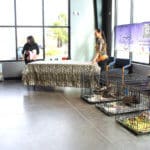 D & S Harley Davidson Pet Day, Melly Cat Table setting up
