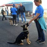 D & S Harley Davidson Pet Day, Mochi with RR staff Sidney