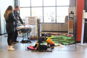 D & S Harley Davidson Pet Day, RR puppy pen and Rick