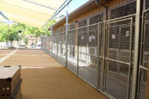 SDF National Training Center kennels2
