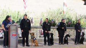 SDF Search Team Pairing Ceremony