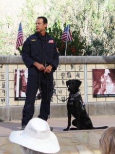 SDF Search Team Pairing _Derek Moree & Roma 2