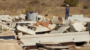 SDF_Demo_Chirp in Rubble