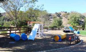 SDF_Search team show grounds 2