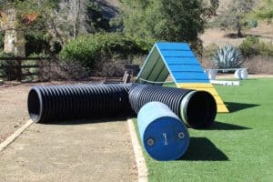 SDF_search team show grounds 3