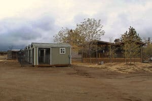 Givng Tuesday 2022, Rescue Ranch Sanctuary_ New wheloing shed next to main house