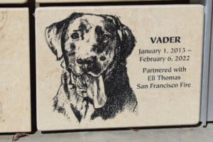 Vader on SDF Canine Memorial Wall