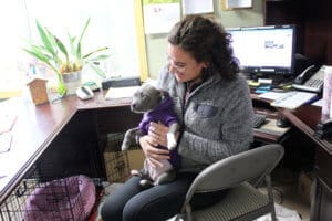 Full Capacity, Fronte desk support, foster and adopter AliCarmen in the office