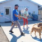 FUll Capacity, Ari retruing evacuated dogs to owners