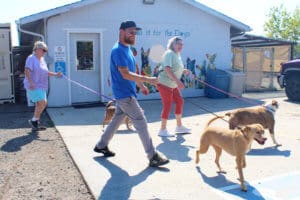 FUll Capacity, Ari retruing evacuated dogs to owners