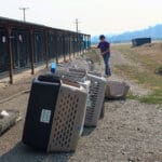 Full Capacity, Cleaning crates