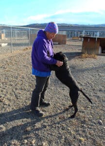 Full Capacity, giving dogs some love