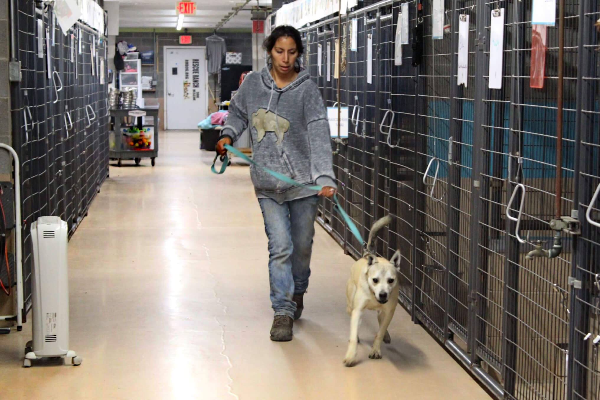 How Are Operations Impacted by Having Rescue Ranch At Full Capacity?