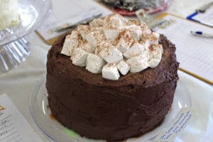 Rescue Ranch Thrift Store interior, Grand opening chocolate and homemade marshmallow cake