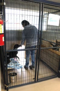 Full Capacity, putting dog in kennel for the night