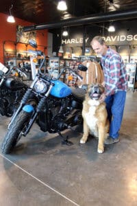 Saint Bernard, Thor with Rick at D & S Harley Davidson