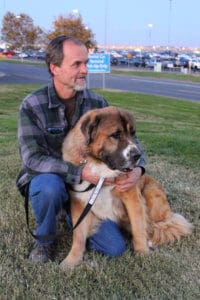 Saint Bernard, Thor, sitting and leaning against Rick on the grass