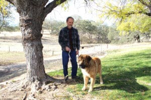 Saint Bernard,Thor, walking with Rick at rest stop