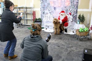Rescue Ranch Thrift Store-dogs getting Santa Paws pictures