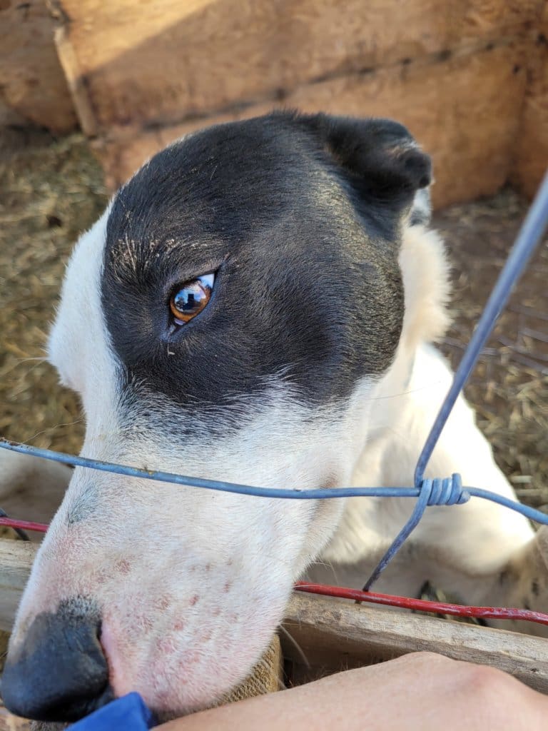 inbound8385689342915244365