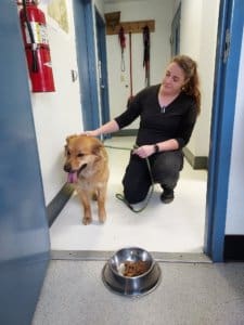 Stary dog, Randi and Stephanie AC shelter_Photo SHoffman