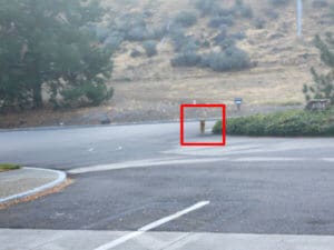 Stray dog, Road signs to rest stop _photo EAnderson
