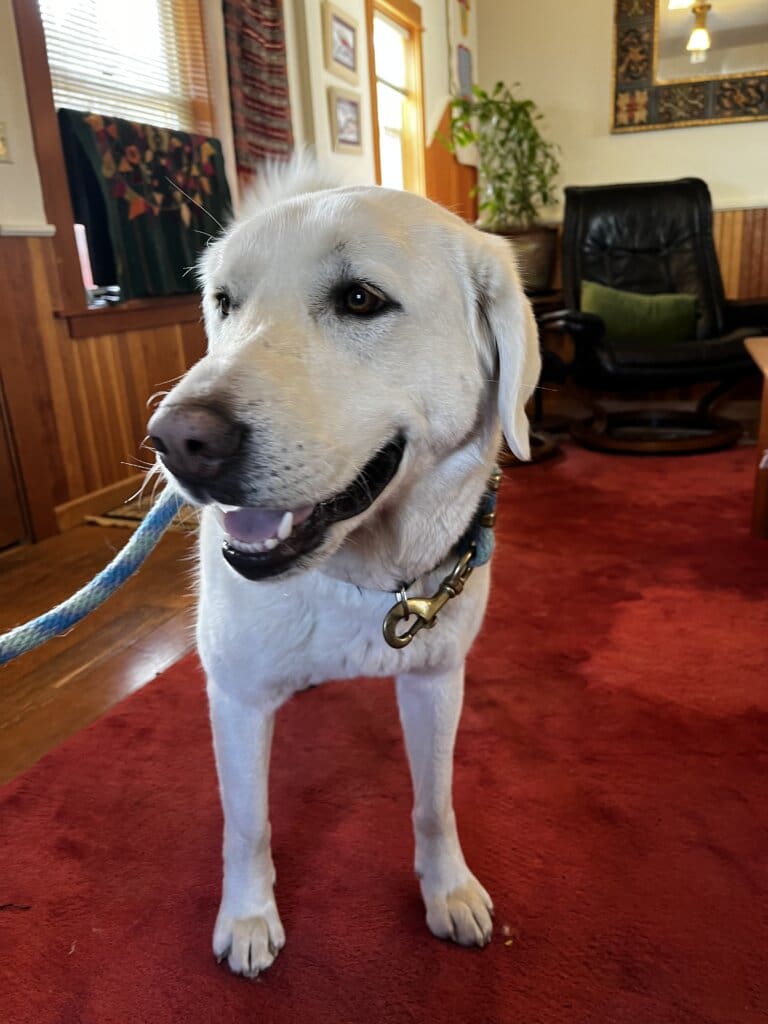 597056D0-F7A5-4555-928A-54F89C214F27