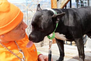 Amazing dog, Benny coming in to nuzzle Steven