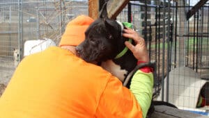 Steven hugging Benny
