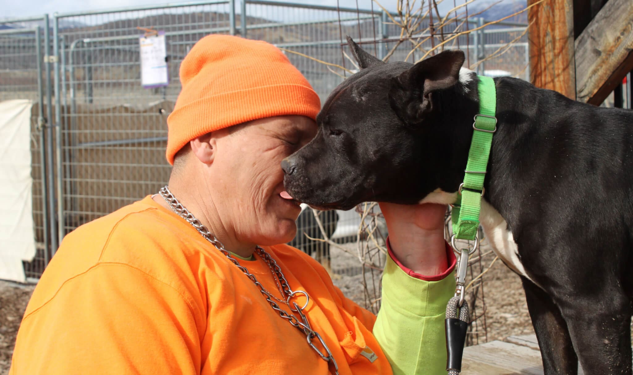 Special Adopter Needed For Amazing Dog Rescued From Starvation