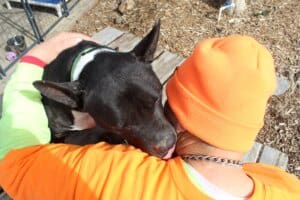 Amazing dog, Benny nuzling and licking Steven's neck