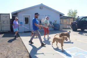 Team member, Ari retruning dogs to Christi Everett and companion , McKinney Fire