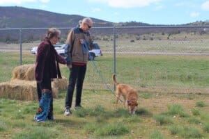 Foster a Dog, day Fosters Marni_Chris with Annie