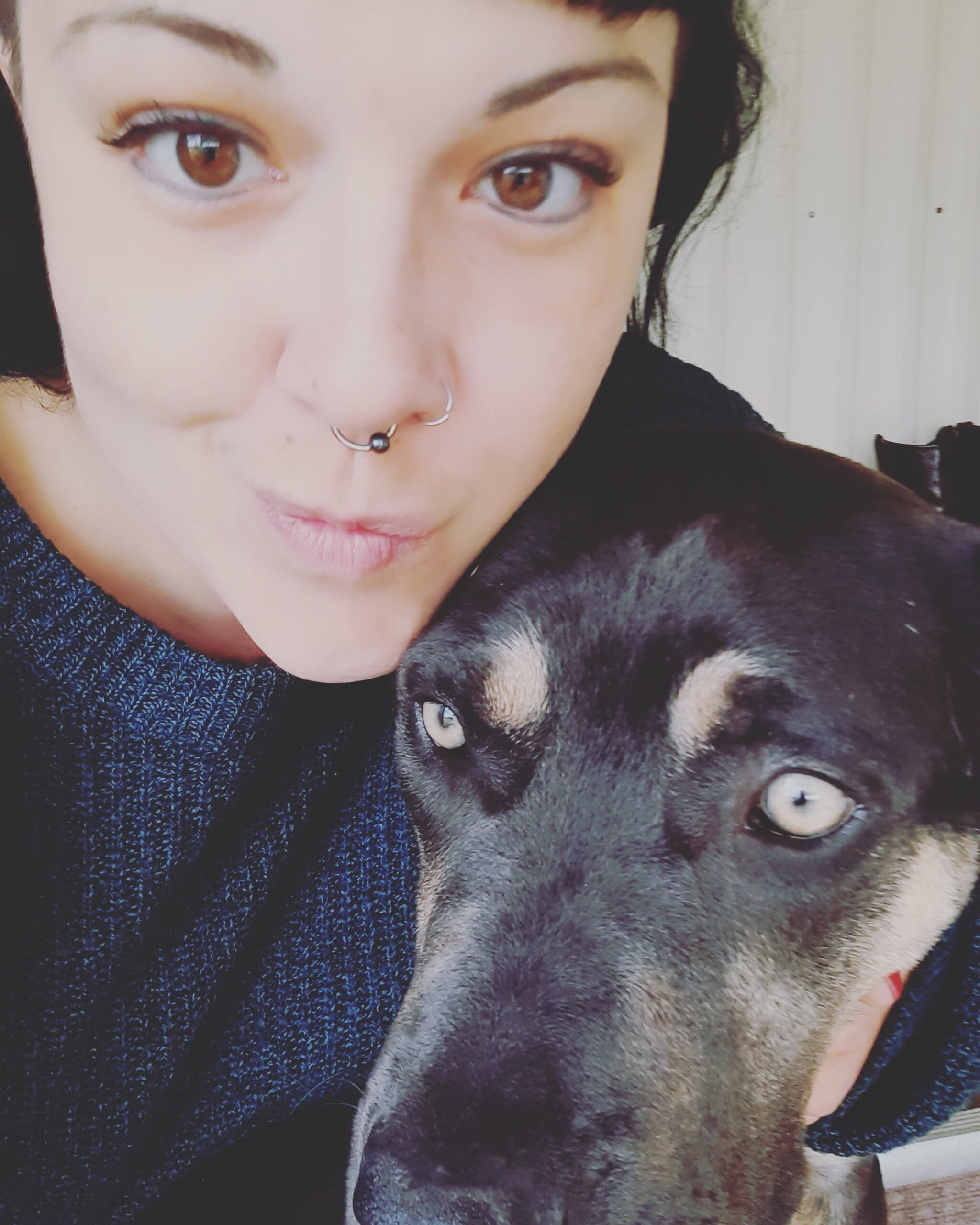 Rehome: Beautiful loving Jake needs a new home - Rescue Ranch Inc.