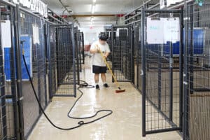 Rescue Ranch kennel cleaning