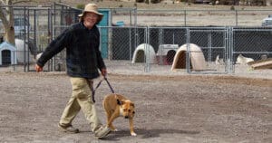 Rescue Ranch volunteer Chuck walking Casey