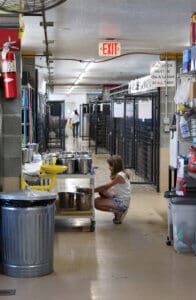 Rescue Ranch volunteer, kennel interior view with young Piper om the middle ground during Lava Fire