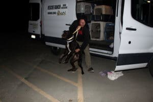 Team member, Ari unloading a RRAAP dog