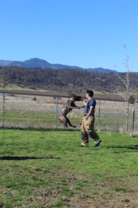 Firefighter Ari Savar and Lady Play Ball