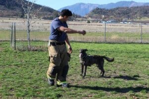 Firefighter Ari Savar and Lady Play Ball